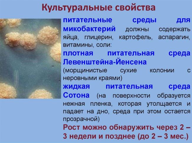 Как бороться с фузобактериями – основными источниками гнойных инфекций