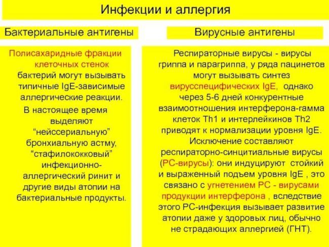 Заболевания, вызываемые бактериями у человека. список, симптомы и лечение