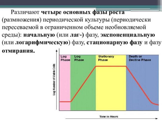 Закономерности развития популяций бактерий в окружающей среде - автореферат диссертации по ветеринарии скачать бесплатно на тему 'ветеринарная санитария, экология, зоогигиена и ветеринарно-санитарная экспертиза', специальность вак рф 16.00.06