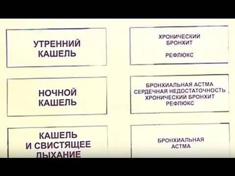 Показатели анализов мокроты при туберкулезе