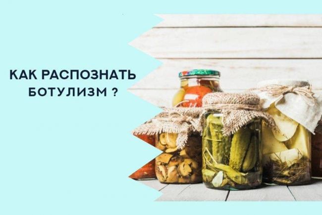 Что важно знать о болезнетворных бактериях, их разновидностях и способах питания