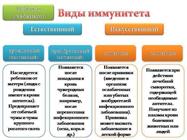 Искусственный активный иммунитет