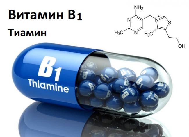 Витамин b1 (тиамин). характеристика, влияние на организм