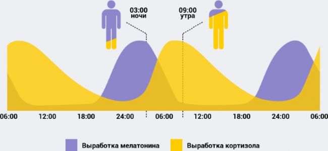 Меларитм: инструкция по применению и для чего он нужен, цена, отзывы, аналоги