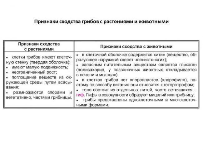 Что общего и какие различия между клетками растений, грибов, бактерий и животных?