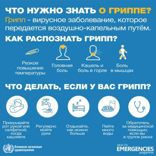Ученые: грипп нужно уметь отличать от обычной простуды