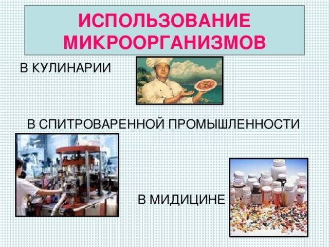 Полезные и не очень бактерии и вещества в продуктах питания