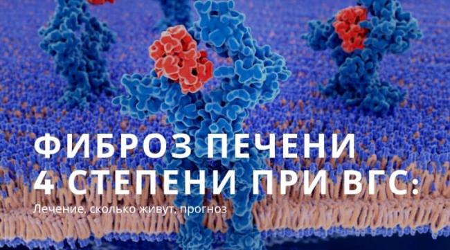 Фиброз печени: что это такое, стадии, сколько живут — симптомы