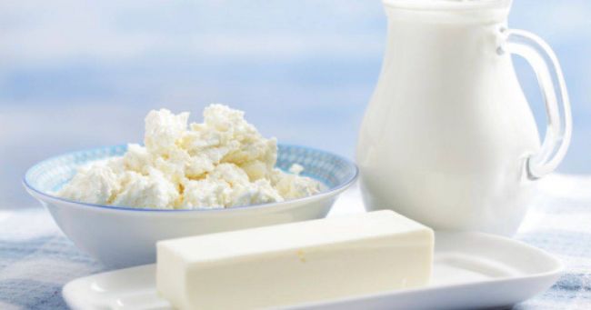 Роль бактерий в изготовлении кисломолочных продуктов