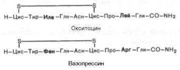 Антидиуретический гормон — википедия. что такое антидиуретический гормон