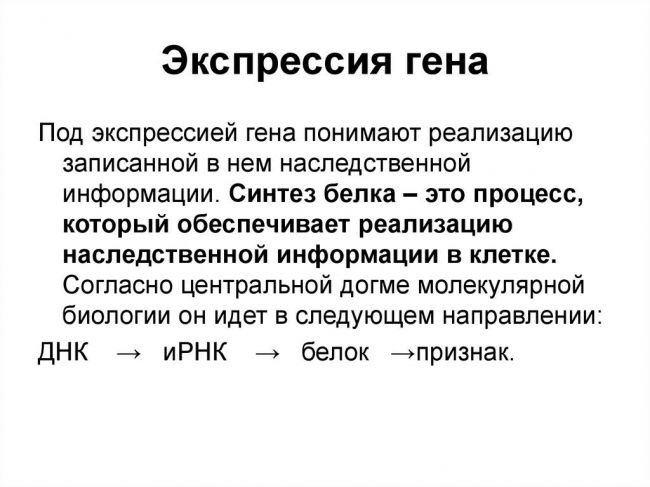 Экспрессия генов