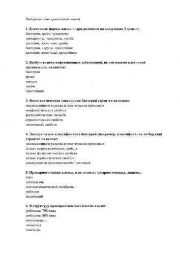 Как соотносится строение бактериальной клетки и ее функции
