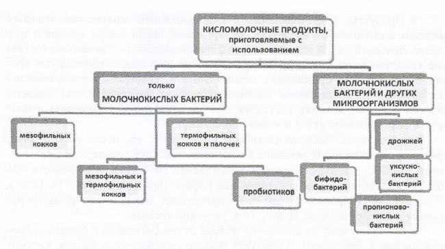 Кефир и живые бактерии – полезно ли это для организма человека?