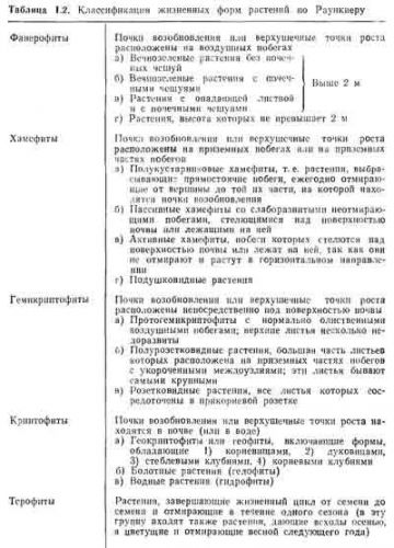 Строение и классификация простейших одноклеточных организмов