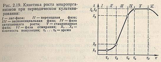 Автореферат и диссертация по ветеринарии (16.00.06) на тему:закономерности развития популяций бактерий в окружающей среде