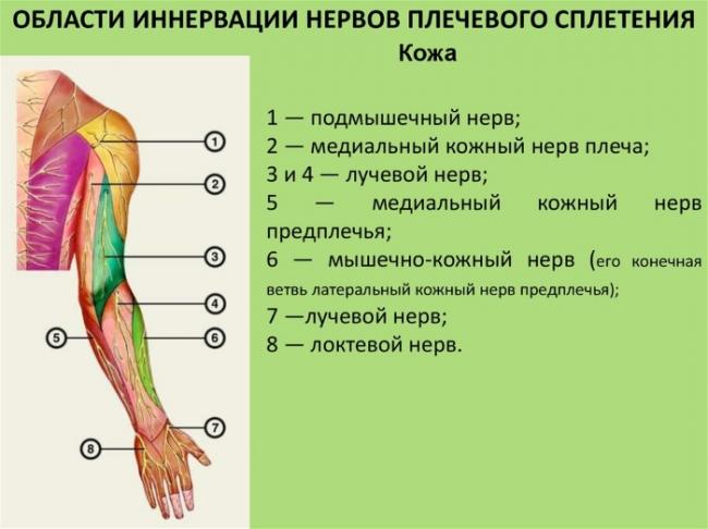 Онемение лица и головы признак какой болезни