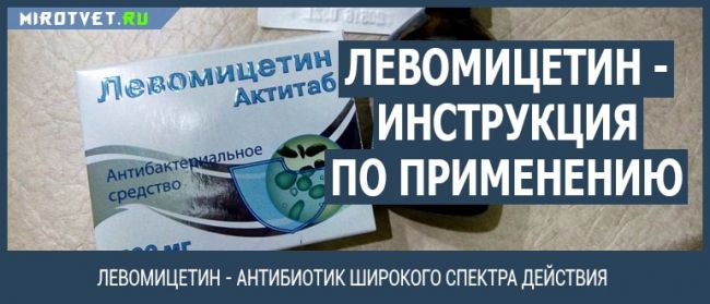Азитромицин инструкция по применению: показания, противопоказания, побочное действие – описание azithromycin лиоф. д/пригот. конц. д/пригот. р-ра д/инф., 500 мг: фл. 1, 5 или 10 шт. (55269) - справочник препаратов и лекарств