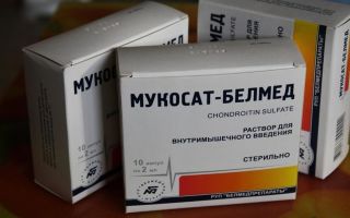 Развернутая инструкция по применению сустанорм