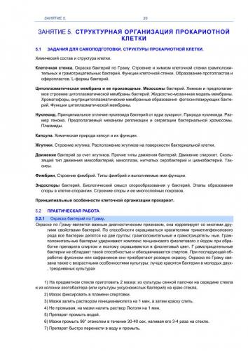Грамотрицательные бактерии википедия