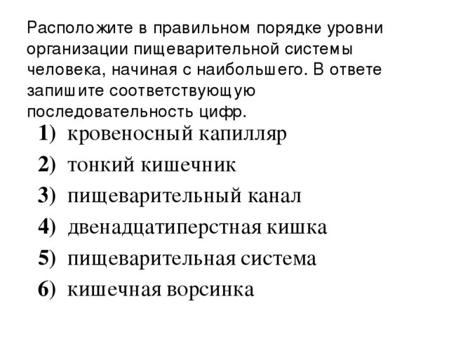 Где вырабатывается желчь и где хранится