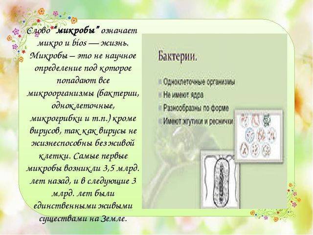 Царства живой природы