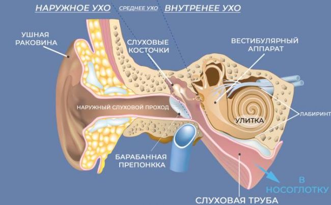 Что делать если в ухе пробка?