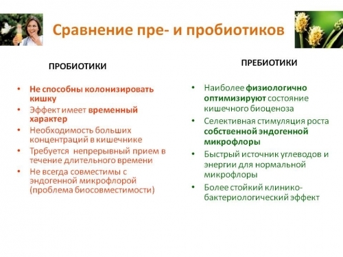 Пробиотики и пребиотики для кишечника – в чем разница? список лучших препаратов с живыми бактериями