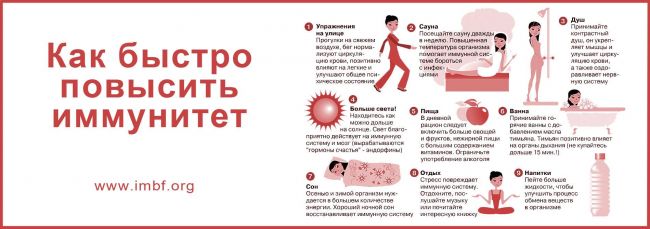 Разновидности и список самых популярных и эффективных препаратов для повышения иммунитета