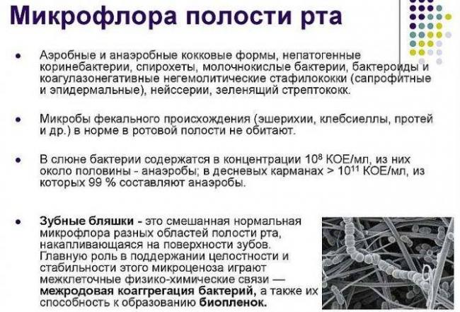Какие полезные, а какие неполезные бактерии для человека