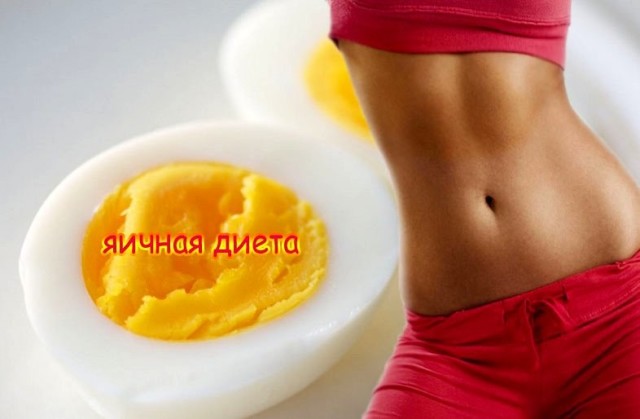 Диета усама хамдий (яичная)