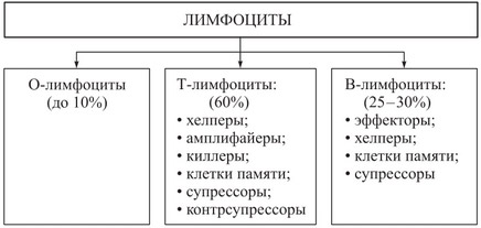 Атипичные лимфоциты