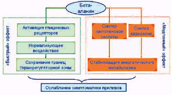 Инструкция по применению препарата циклим аланин и отзывы