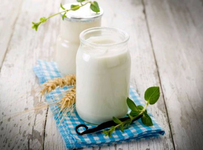 Кисломолочные продукты в домашних условиях - кефир, бактерии, закваска, кисломолочные продукты