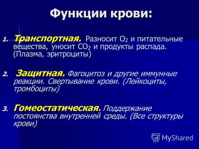 Плазма крови: состав, белки и функции, исследование и применение в медицине
