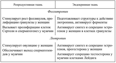 Гормон актг: за что отвечает, норма, повышен, понижен
