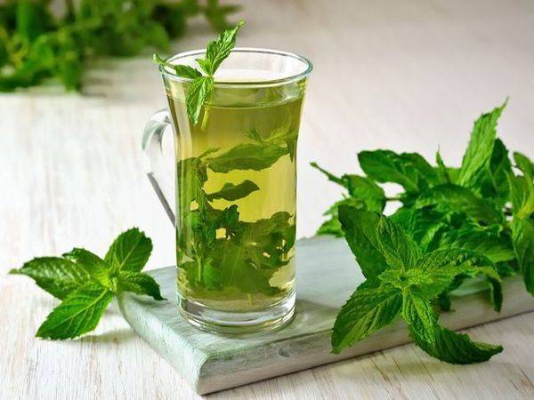 Чай с мятой для похудения и здоровья