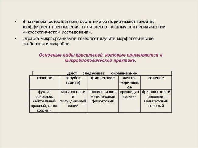 Карта сайта