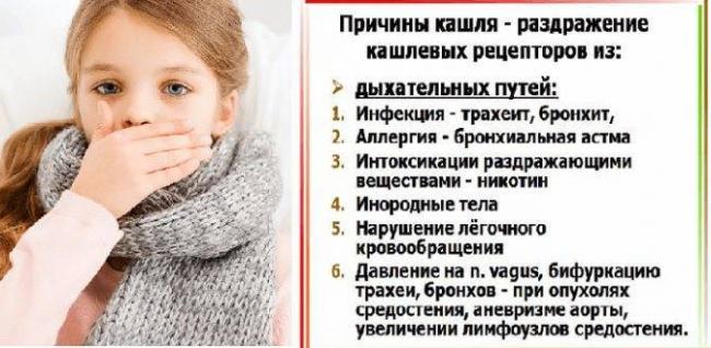 Затяжной кашель у взрослого: чем лечить, причины появления и симптомы