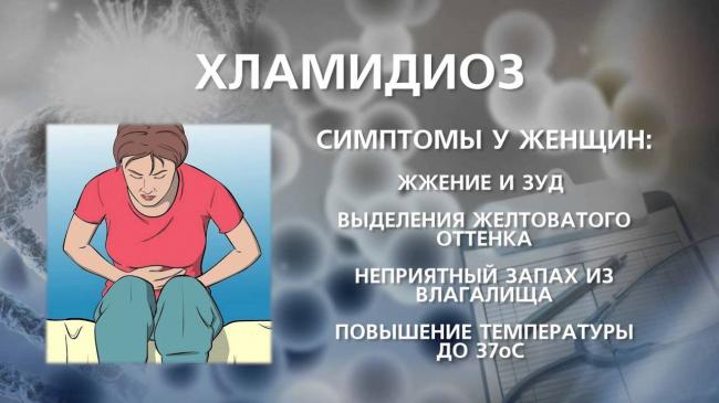 Хламидиоз: симптомы и схема лечения хламидиоза у мужчин и женщин - анализ на хламидиоз, признаки заражения