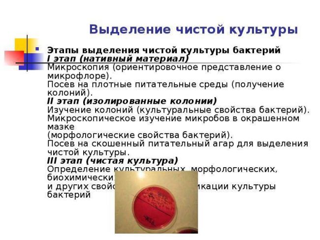 Методы создания бескислородных условий для культивирования анаэробов