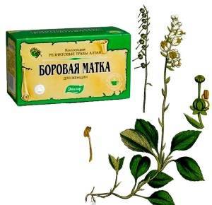 Настойка Боровой матки - отзывы