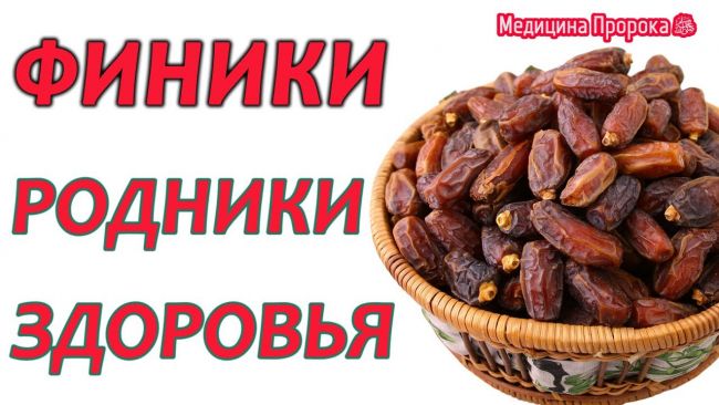Финики при похудении - польза и вред сухофруктов, можно ли их есть на диете, калорийность