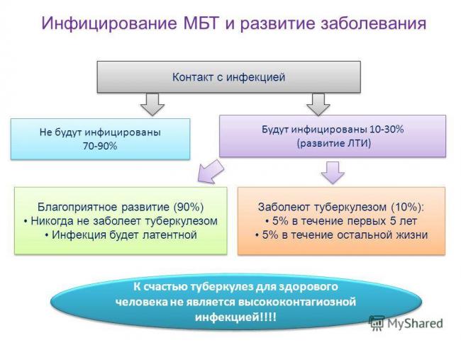 Анализ крови при туберкулезе легких: показатели, изменения, расшифровка – что покажет клинический и биохимический анализ, антитела
