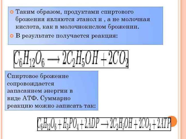 Спиртовое брожение