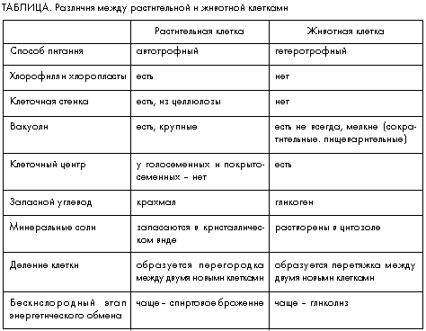 Сходства и различия в строении клеток растений, животных, грибов