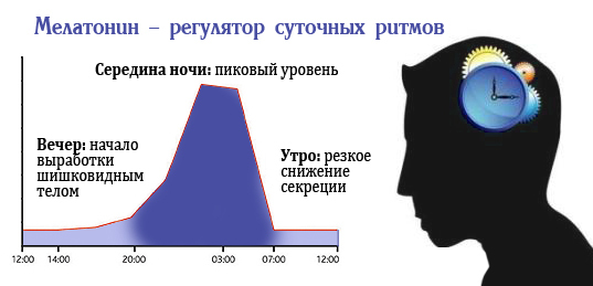Меларена: инструкция по применению и для чего он нужен, цена, отзывы, аналоги
