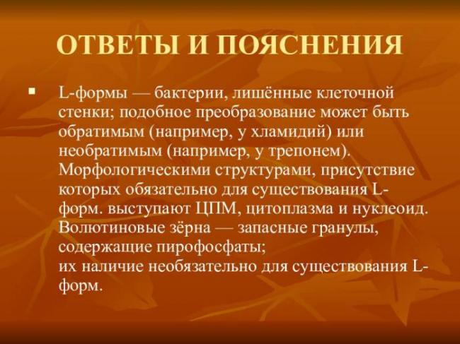 Бактерии. строение бактериальной клетки. формы. фото