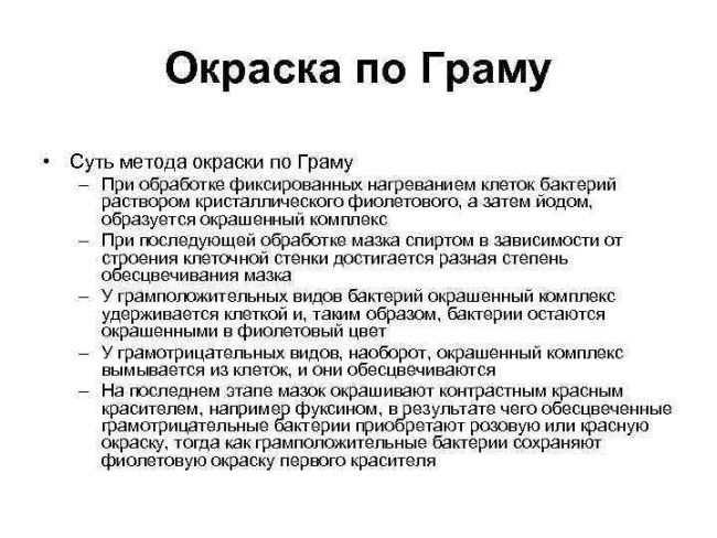 Грамотрицательные бактерии