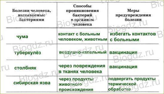 Значение бактерий в природе и жизни человека