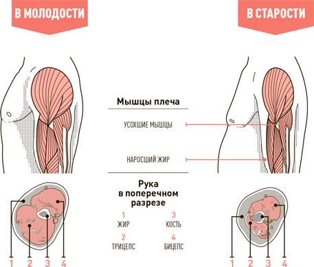 Вакцинация от кори и употребление алкоголя – можно ли пить после прививки?